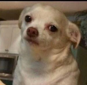 Meet your Posher, Yamilette